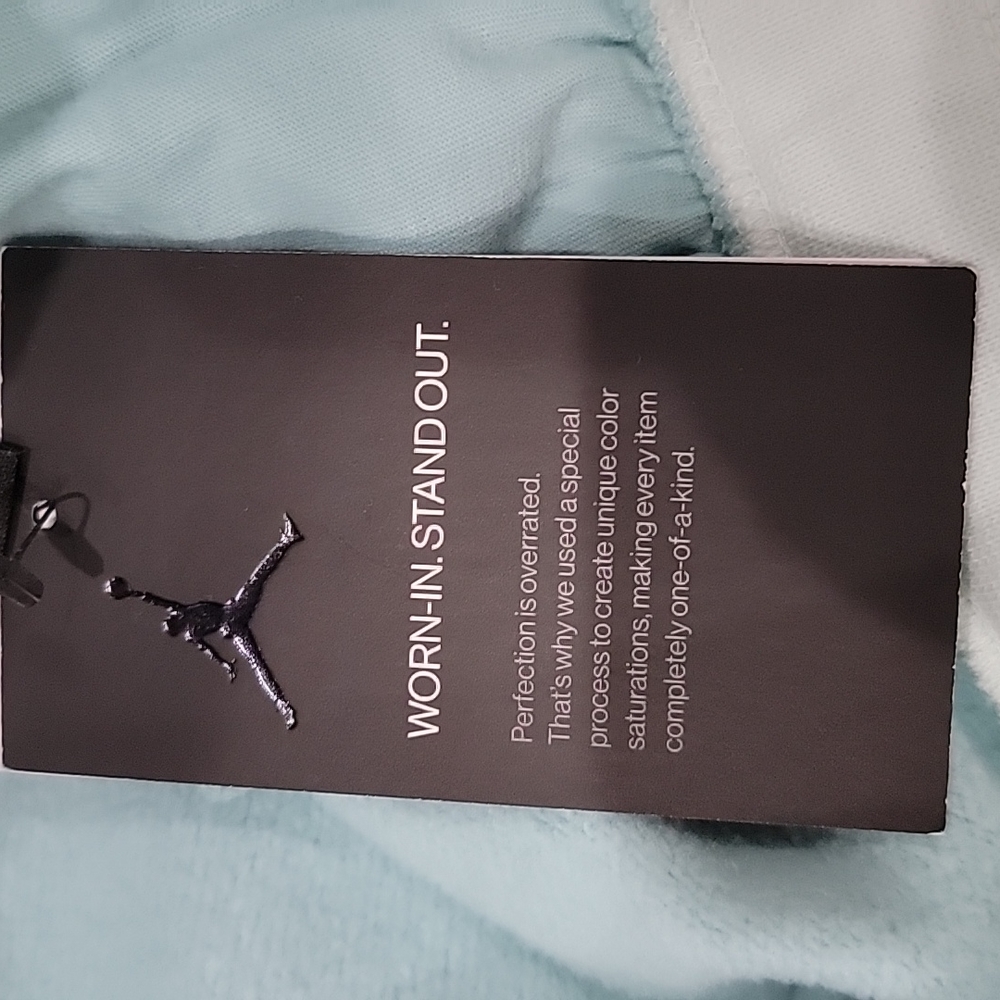 NWT size XL Jordan sweatshorts - Picture 8 of 8